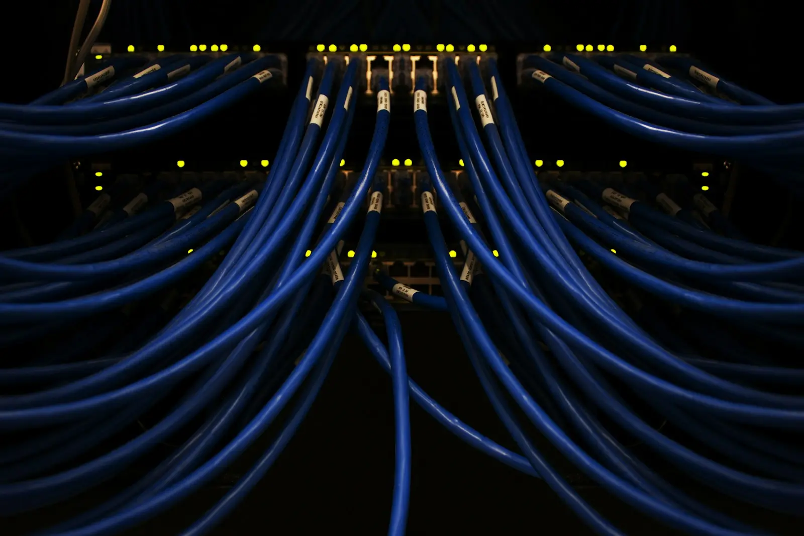 Netwerkkabels in een serverrack